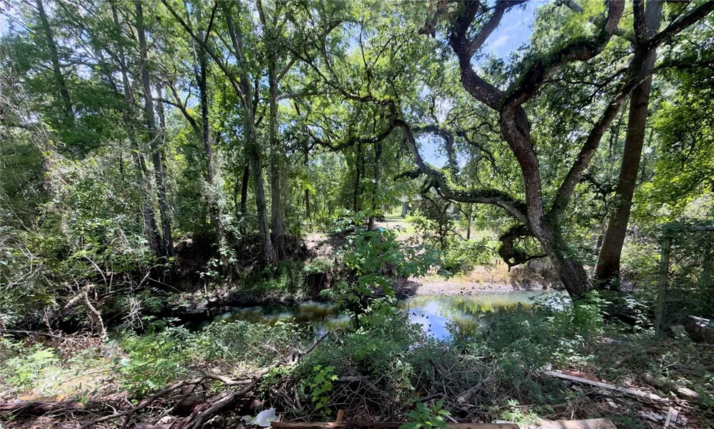 9347 RIVER ROCK DRIVE Webster, FL 33597