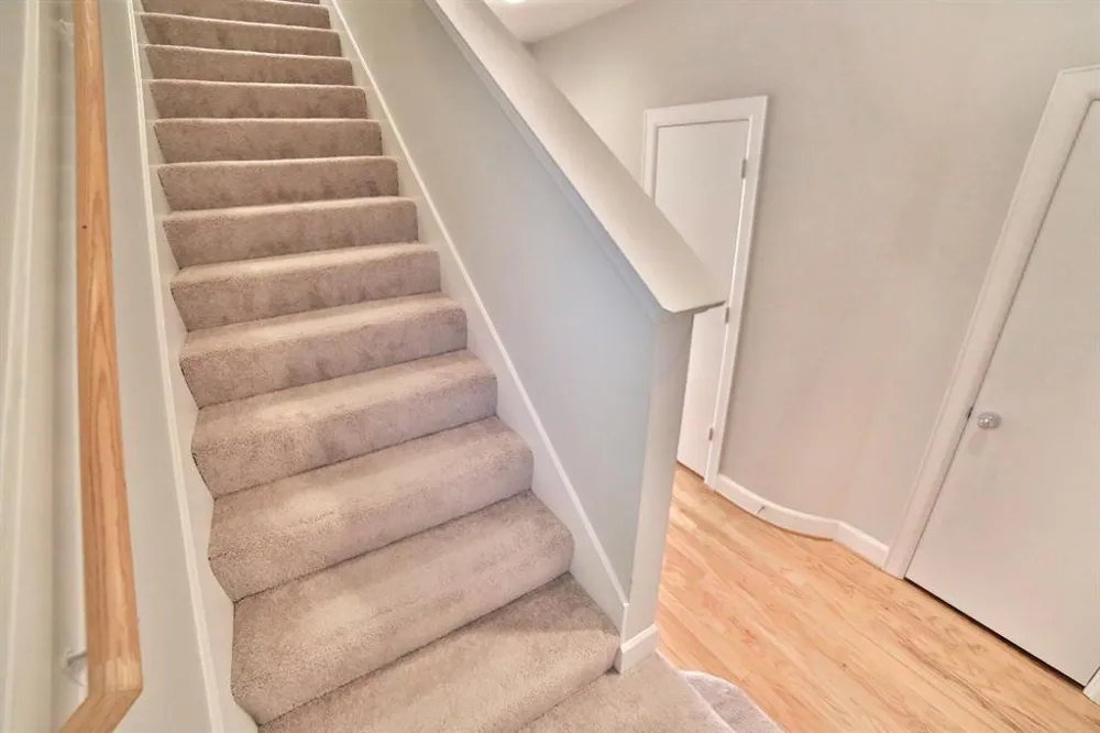 3719 Main Poplar Drive Houston, TX 77025
