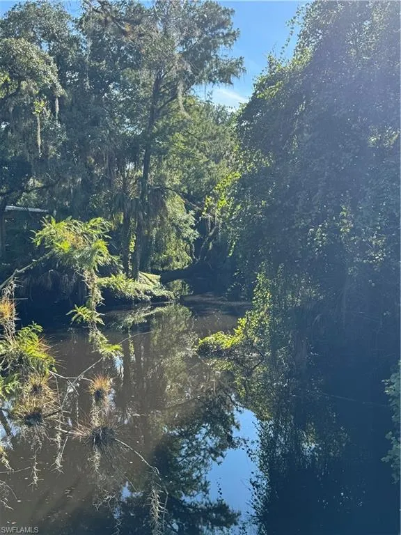 18901 Bridge Wood Court Alva, FL 33920