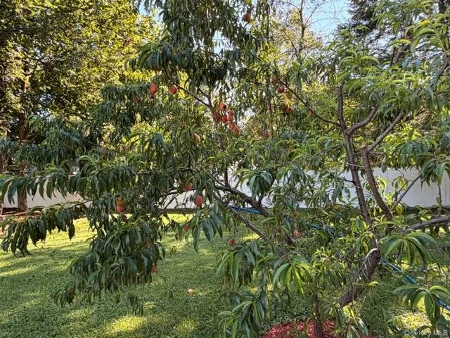 3 Elm Street Westbrookville, NY 12785