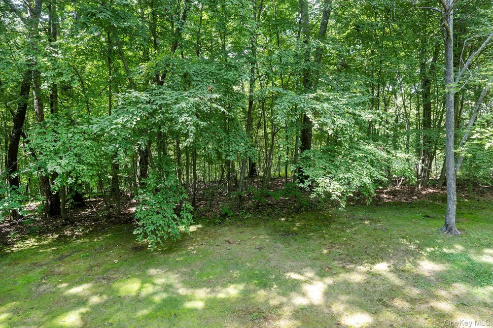 137 Old Camby Road Verbank, NY 12585