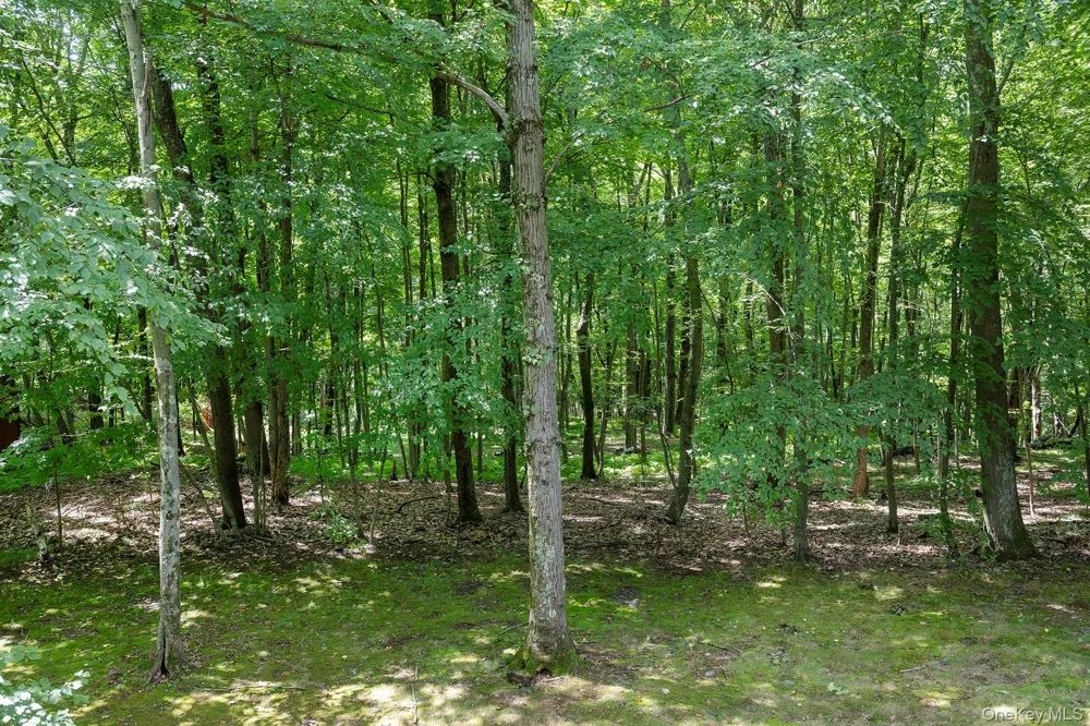 137 Old Camby Road Verbank, NY 12585