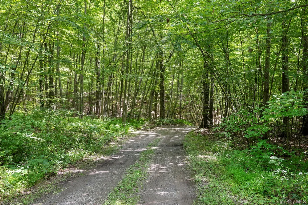 137 Old Camby Road Verbank, NY 12585
