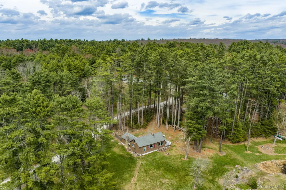 10 Stag Forest Road Forestburgh, NY 12777