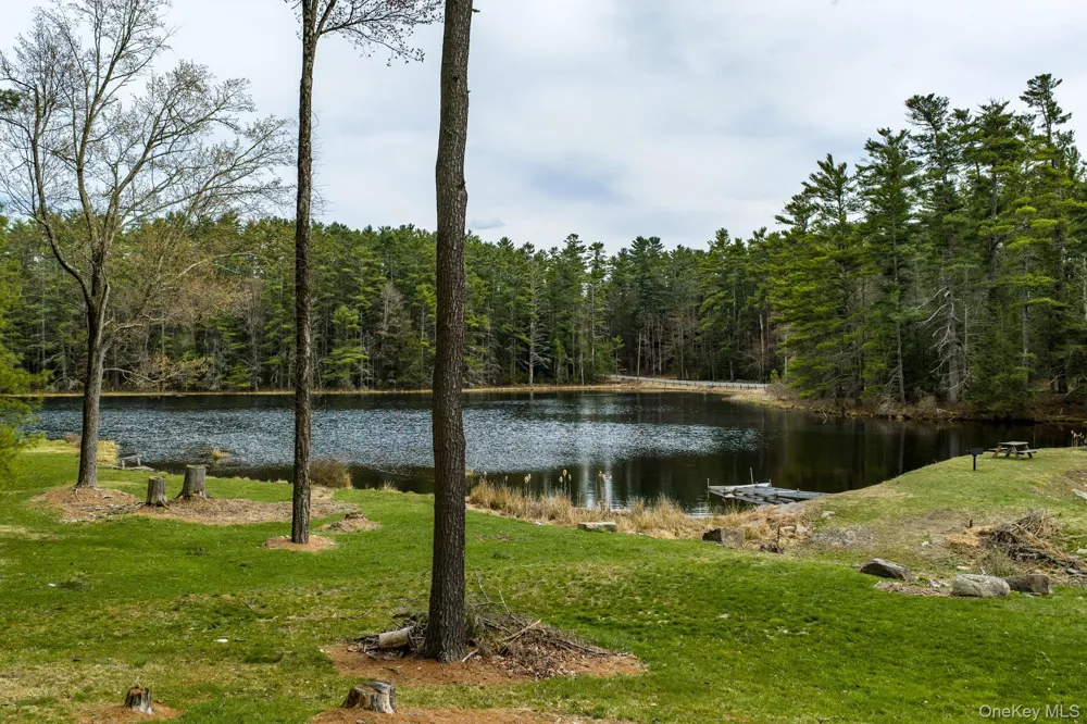 10 Stag Forest Road Forestburgh, NY 12777