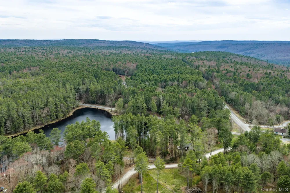 10 Stag Forest Road Forestburgh, NY 12777