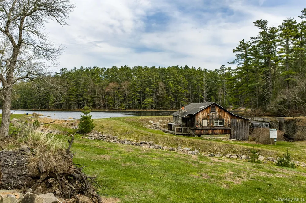 10 Stag Forest Road Forestburgh, NY 12777