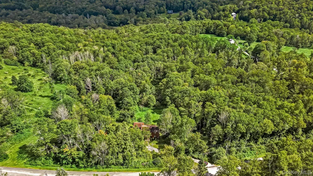 587 Dutch Hill Road Roscoe, NY 12776