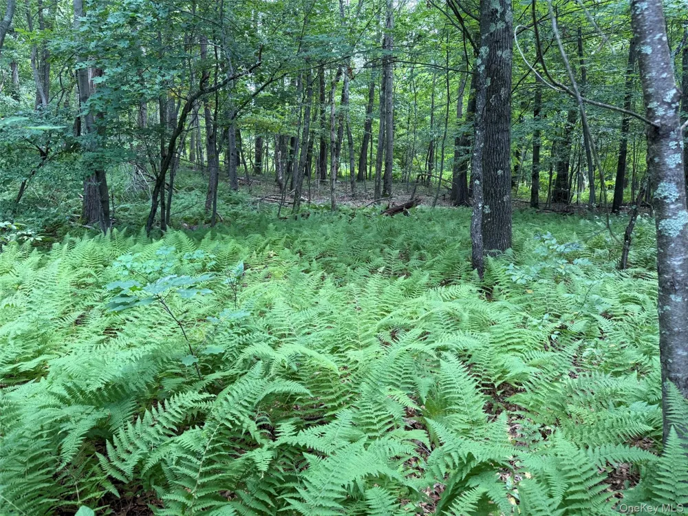 85 Bella Vista Road Amenia, NY 12501