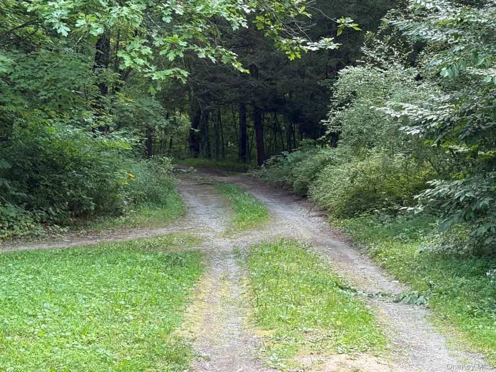 85 Bella Vista Road Amenia, NY 12501