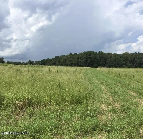 30.42 Ac Atlantic Breeze Drive
