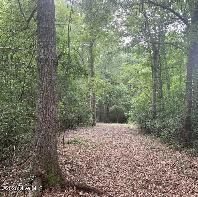 45.22 Ac Atlantic Breeze Drive North Myrtle Beach, SC 29582
