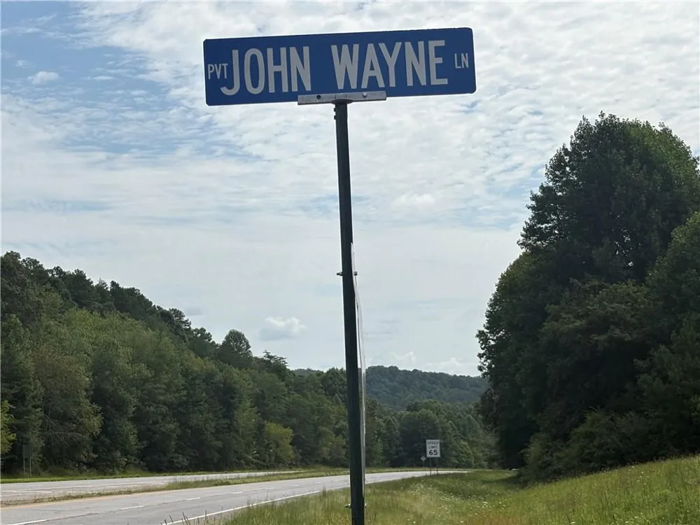 0 Fauna/John Wayne Mineral Bluff, GA 30559