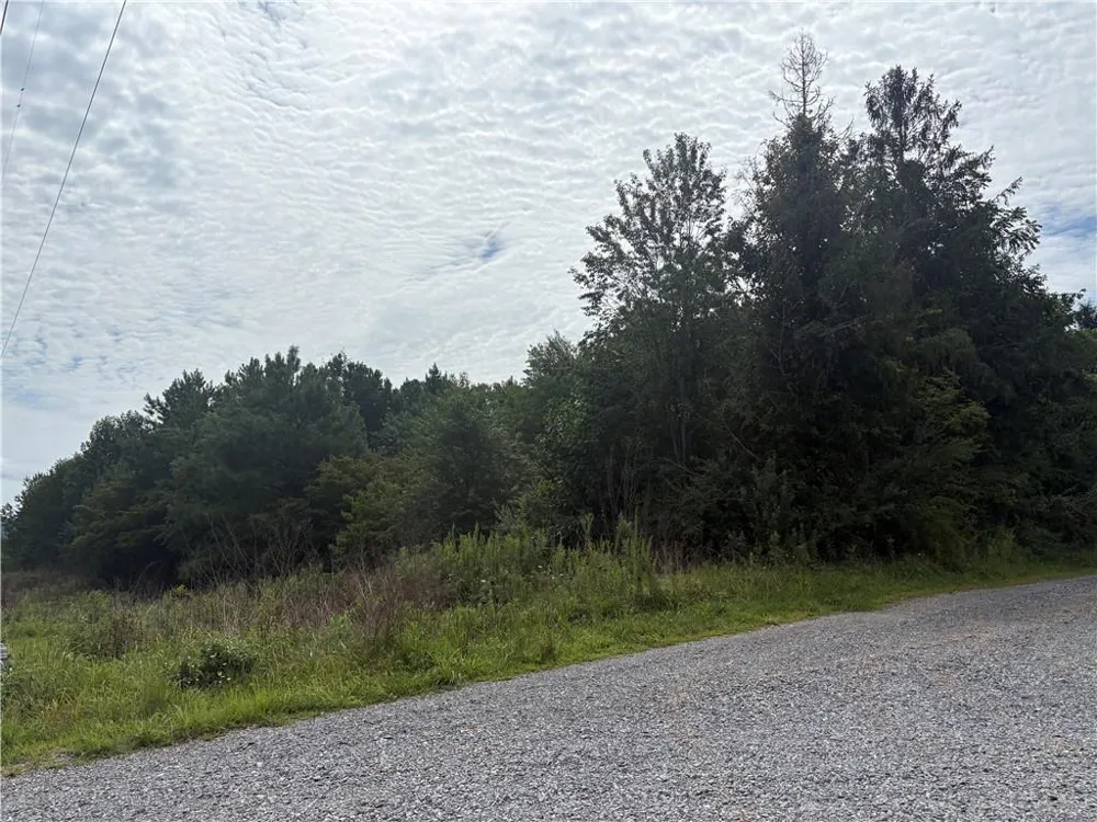 0 Fauna/John Wayne Mineral Bluff, GA 30559