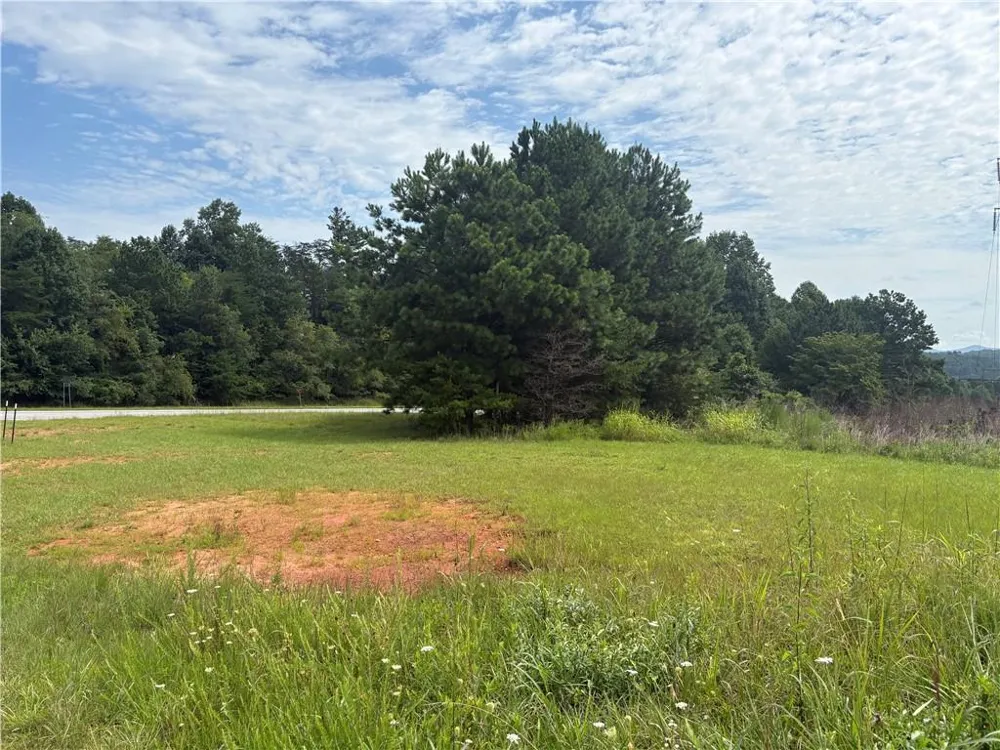0 Fauna/John Wayne Mineral Bluff, GA 30559