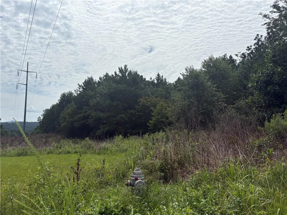 0 Fauna/John Wayne Mineral Bluff, GA 30559
