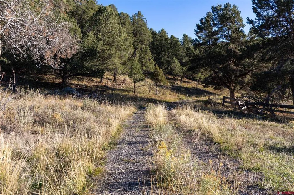 125 Pasture Place Montrose, CO 81403