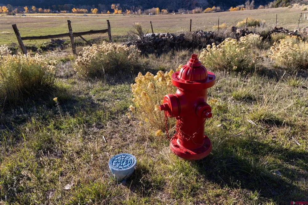 125 Pasture Place Montrose, CO 81403
