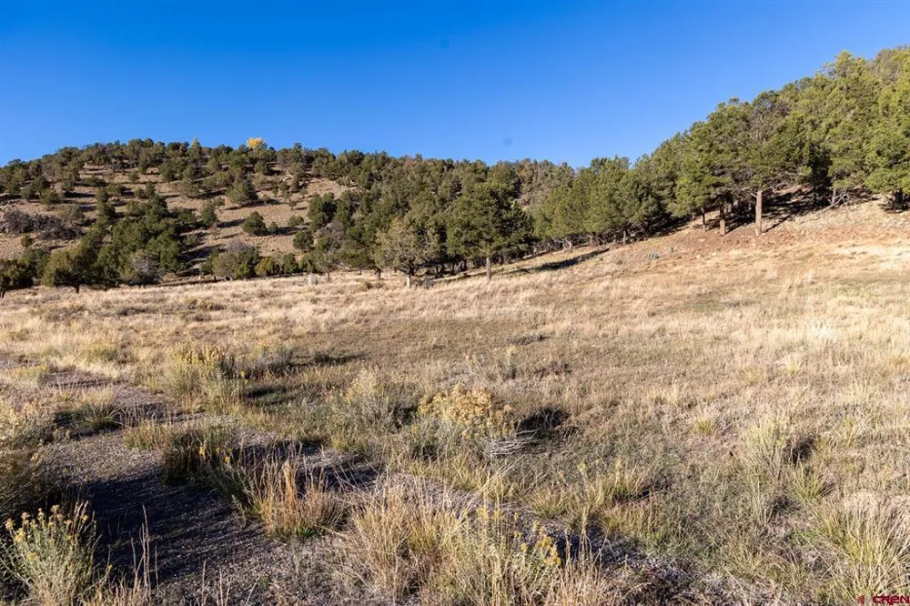 125 Pasture Place Montrose, CO 81403