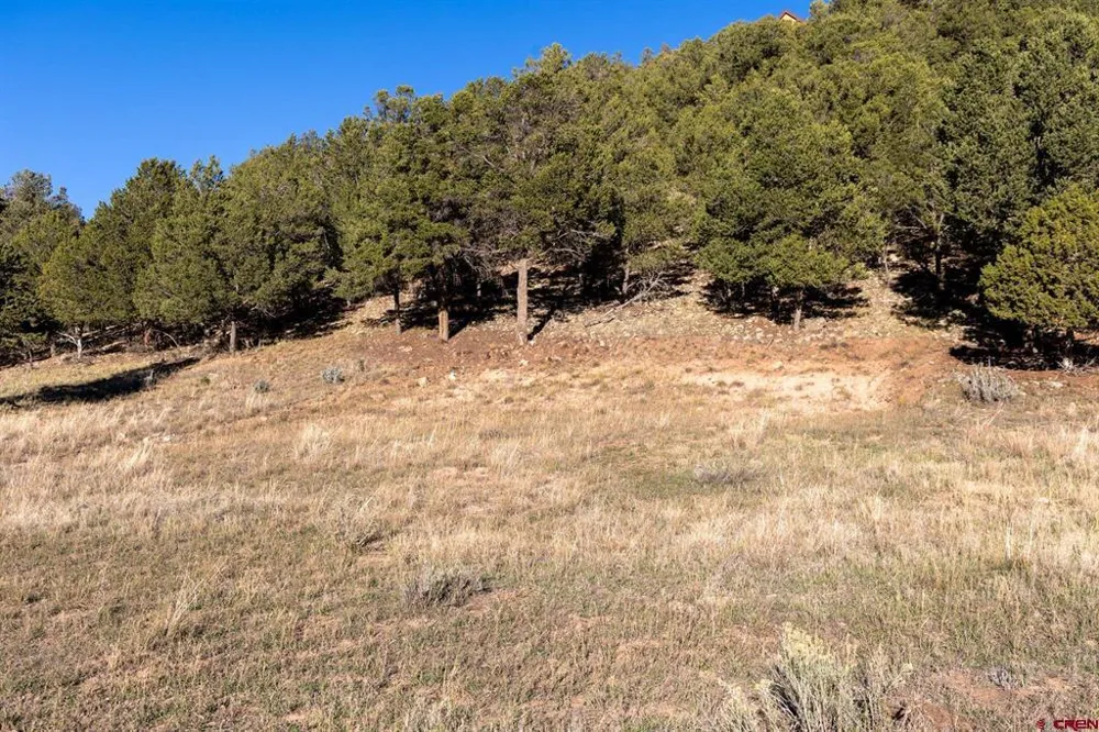 125 Pasture Place Montrose, CO 81403