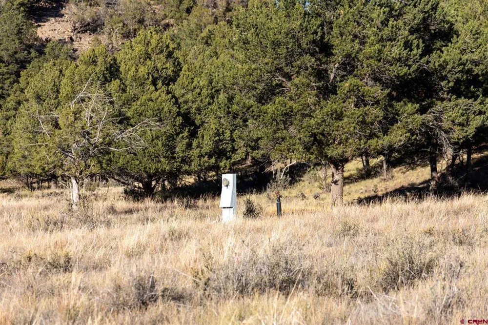 125 Pasture Place Montrose, CO 81403