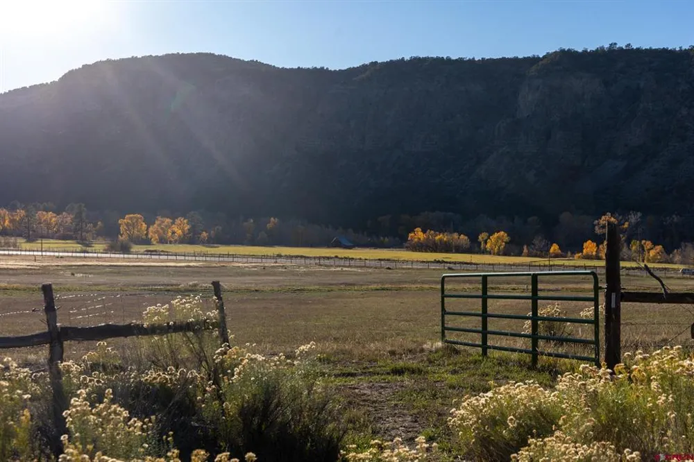 125 Pasture Place Montrose, CO 81403