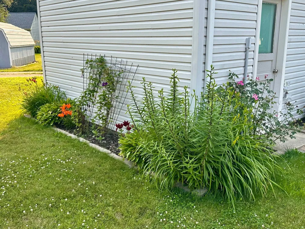 2934 Oak Avenue Slayton, MN 56172