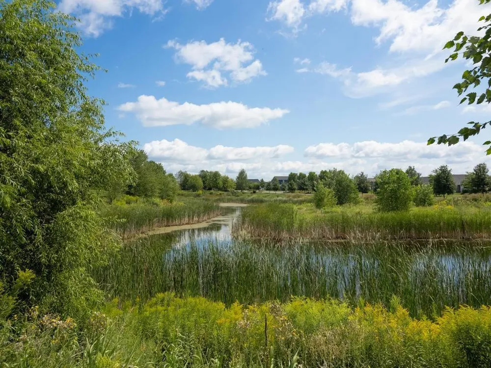 11516 Brookview Drive Maple Grove, MN 55311