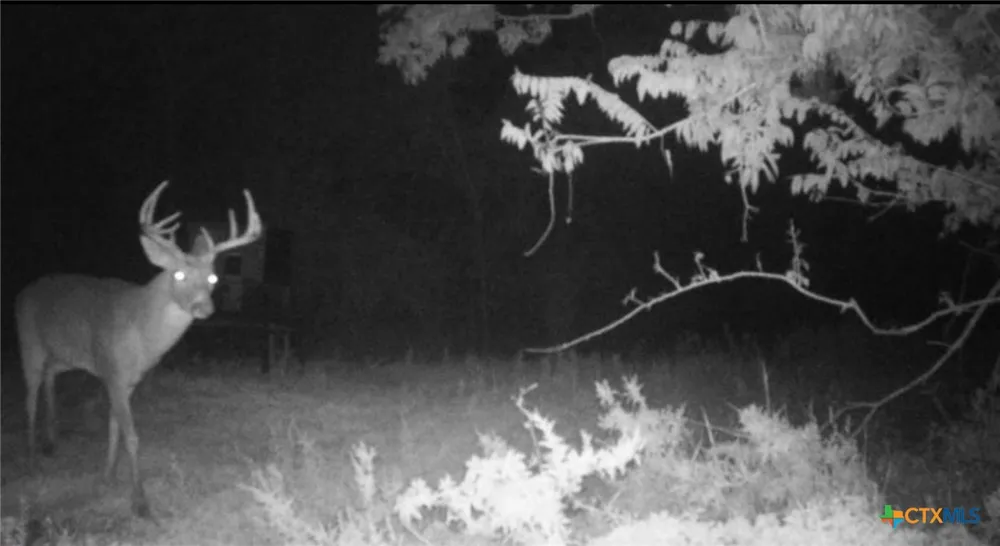 County Road 322 Shiner, TX 77984