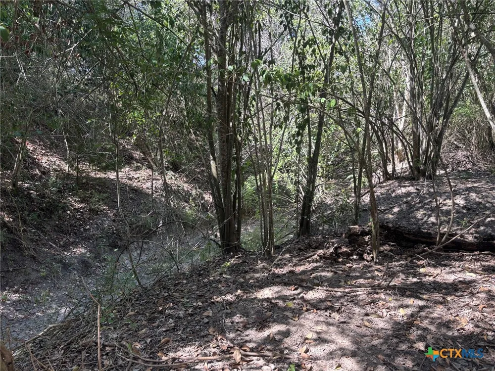 County Road 322 Shiner, TX 77984