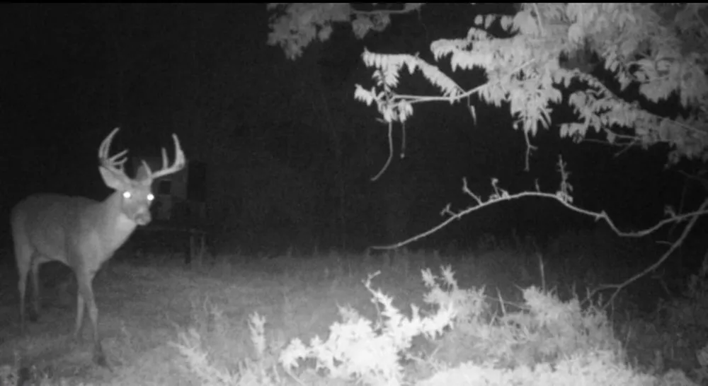 County Road 322 Shiner, TX 77995