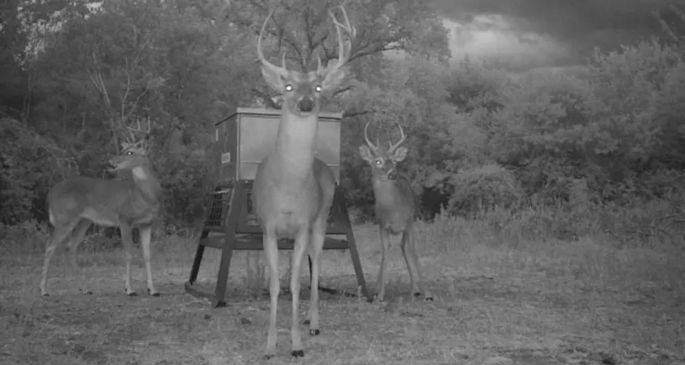 County Road 322 Shiner, TX 77995