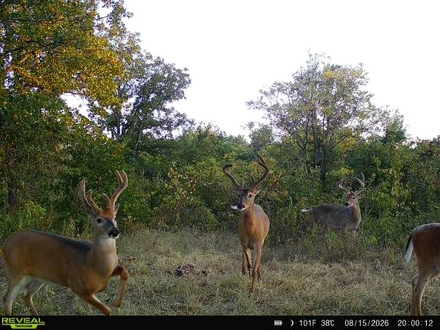 3590 ROAD E Cleveland, OK 74020