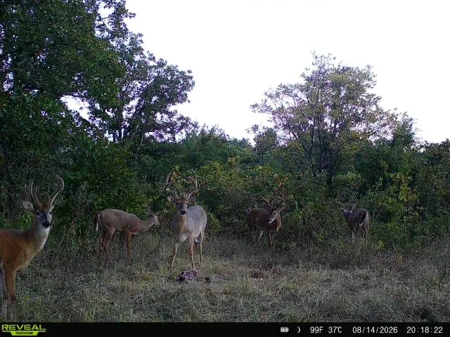 3590 ROAD E Cleveland, OK 74020