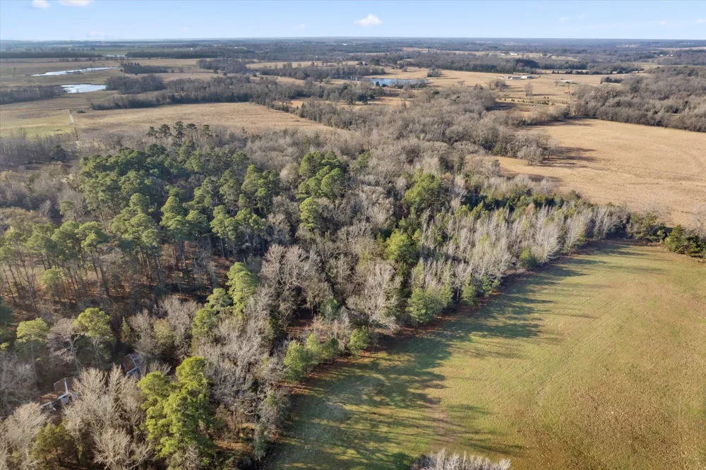 CR 1240 Mt Pleasant, TX 75455