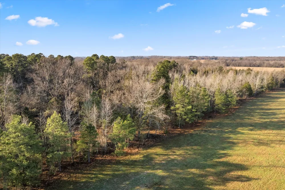 CR 1240 Mt Pleasant, TX 75455