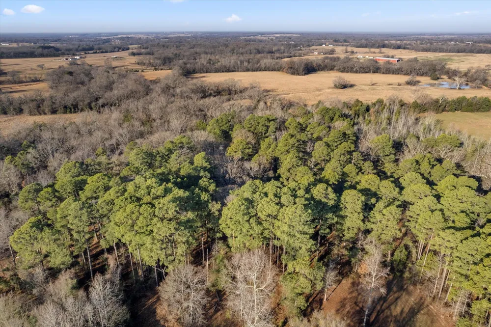 CR 1240 Mt Pleasant, TX 75455