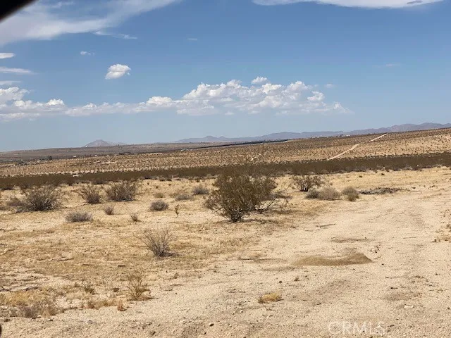 none 29 Palms, CA 92277