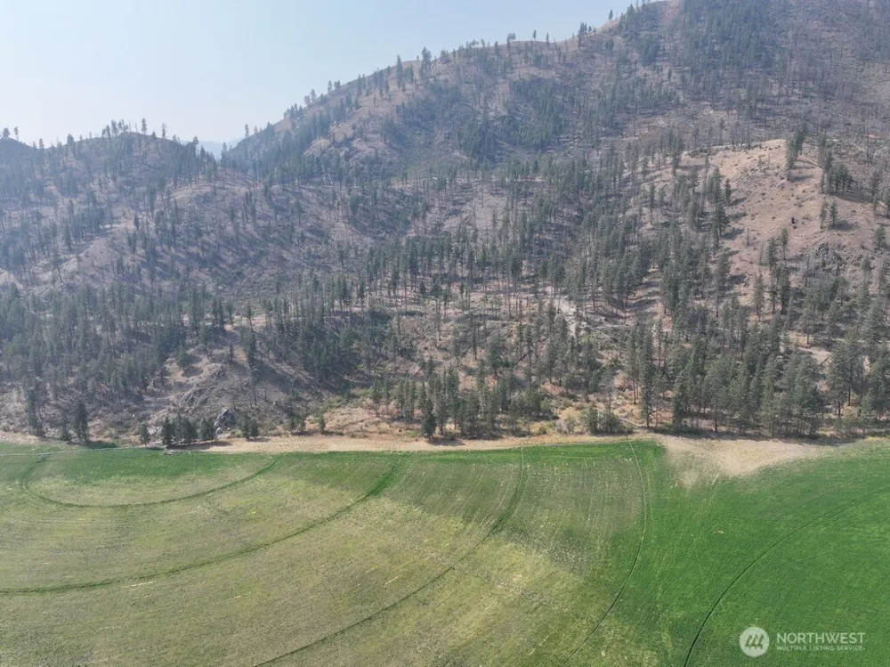 0 Gold Creek Loop Road Carlton, WA 98814