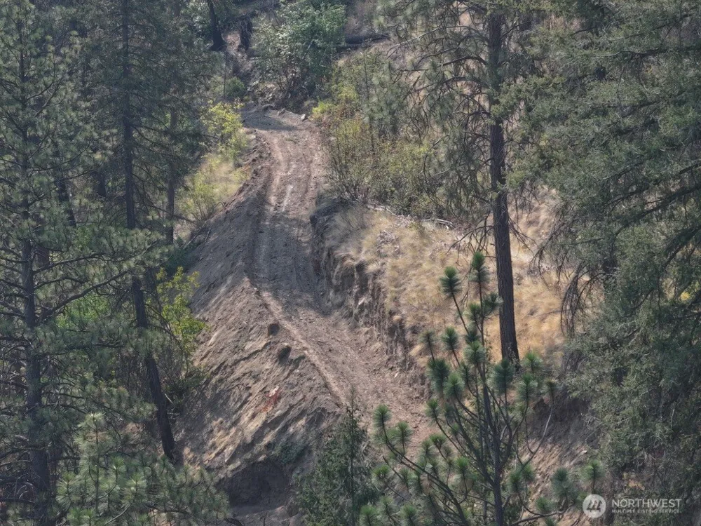 0 Gold Creek Loop Road Carlton, WA 98814