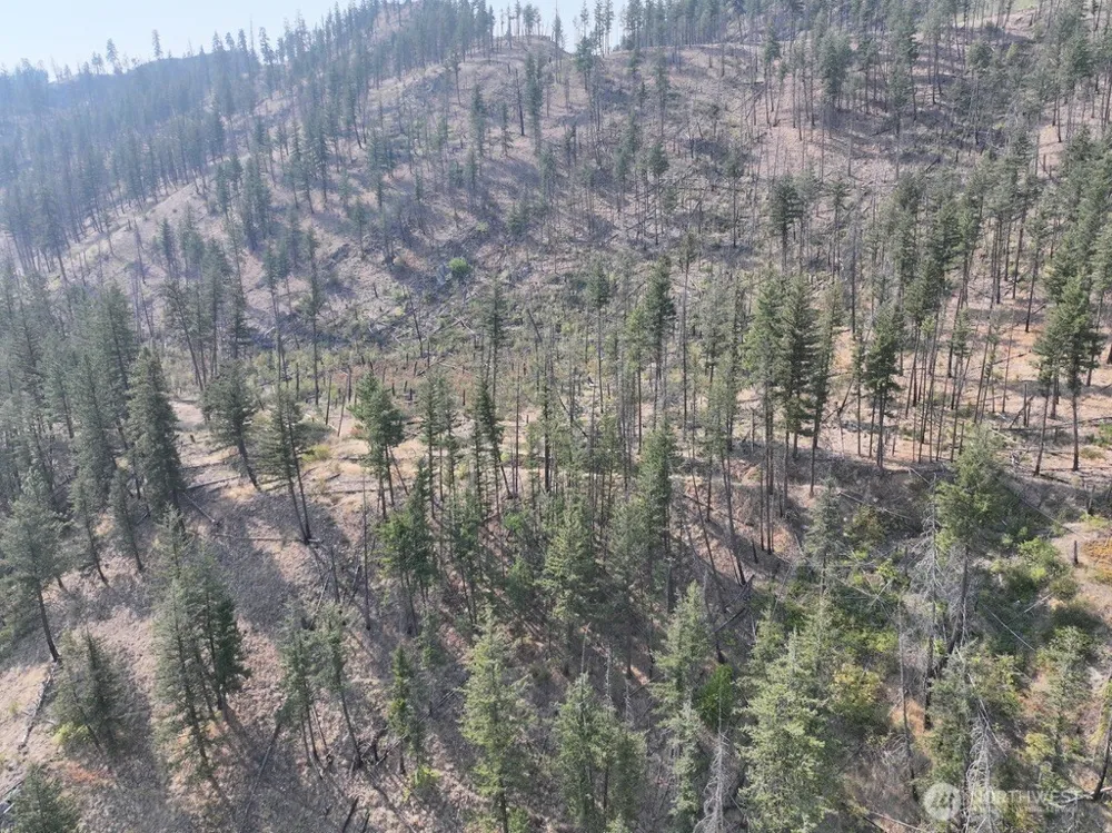 0 Gold Creek Loop Road Carlton, WA 98814