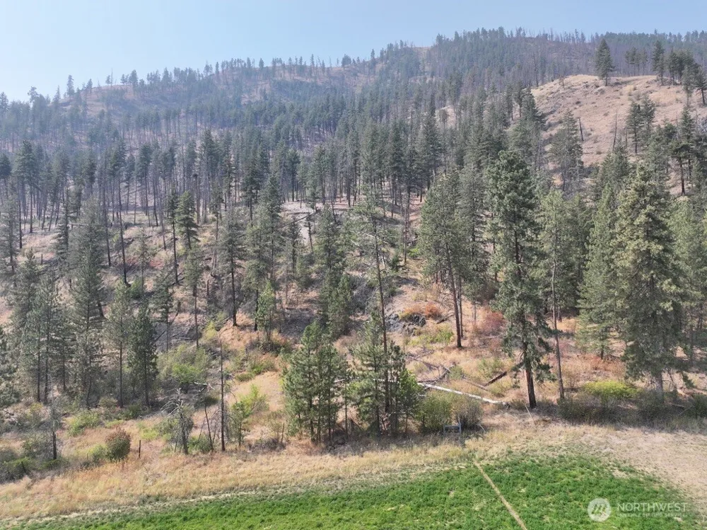 0 Gold Creek Loop Road Carlton, WA 98814