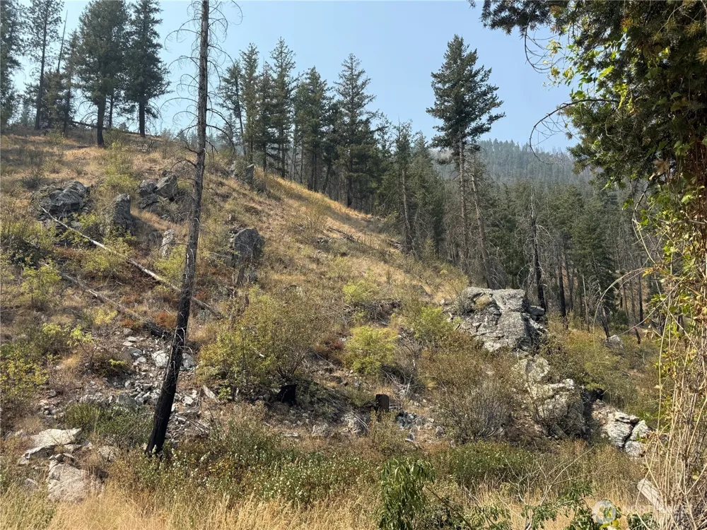0 Gold Creek Loop Road Carlton, WA 98814