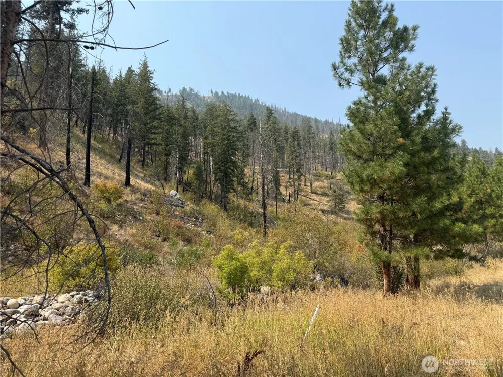 0 Gold Creek Loop Road Carlton, WA 98814