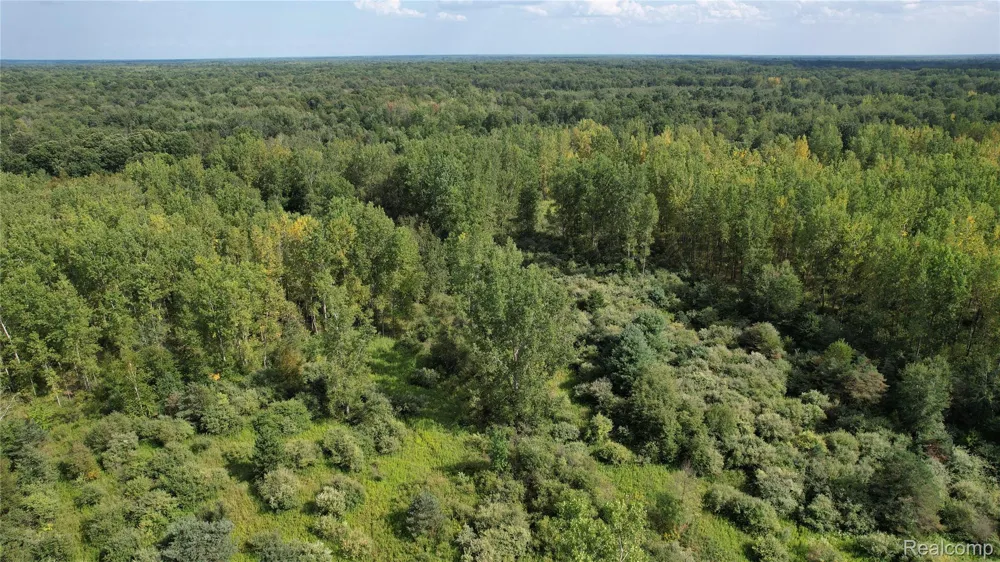 2901 Lyle Road Tobacco Township, MI 48612