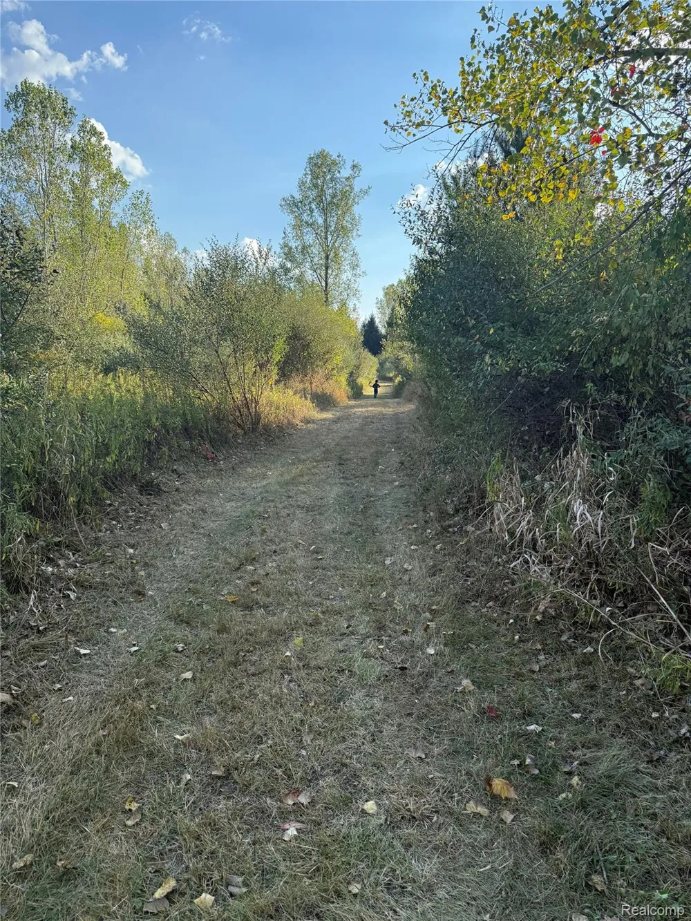 2901 Lyle Road Tobacco Township, MI 48612