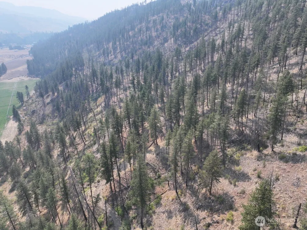 0 Gold Creek Loop Road Carlton, WA 98814