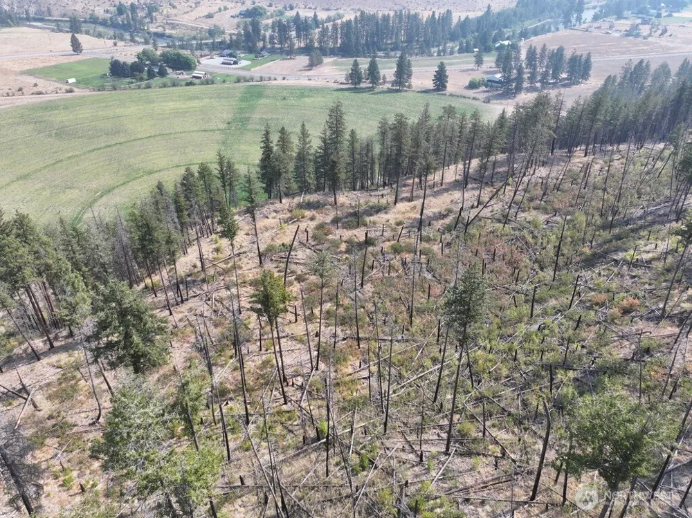 0 Gold Creek Loop Road Carlton, WA 98814