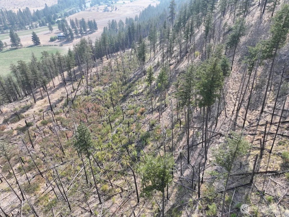 0 Gold Creek Loop Road Carlton, WA 98814