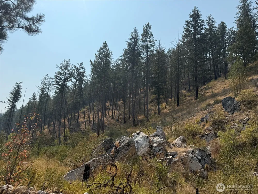 0 Gold Creek Loop Road Carlton, WA 98814
